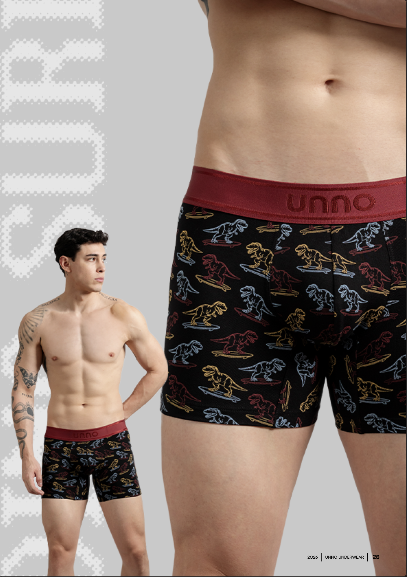 BOXER DINO SURF