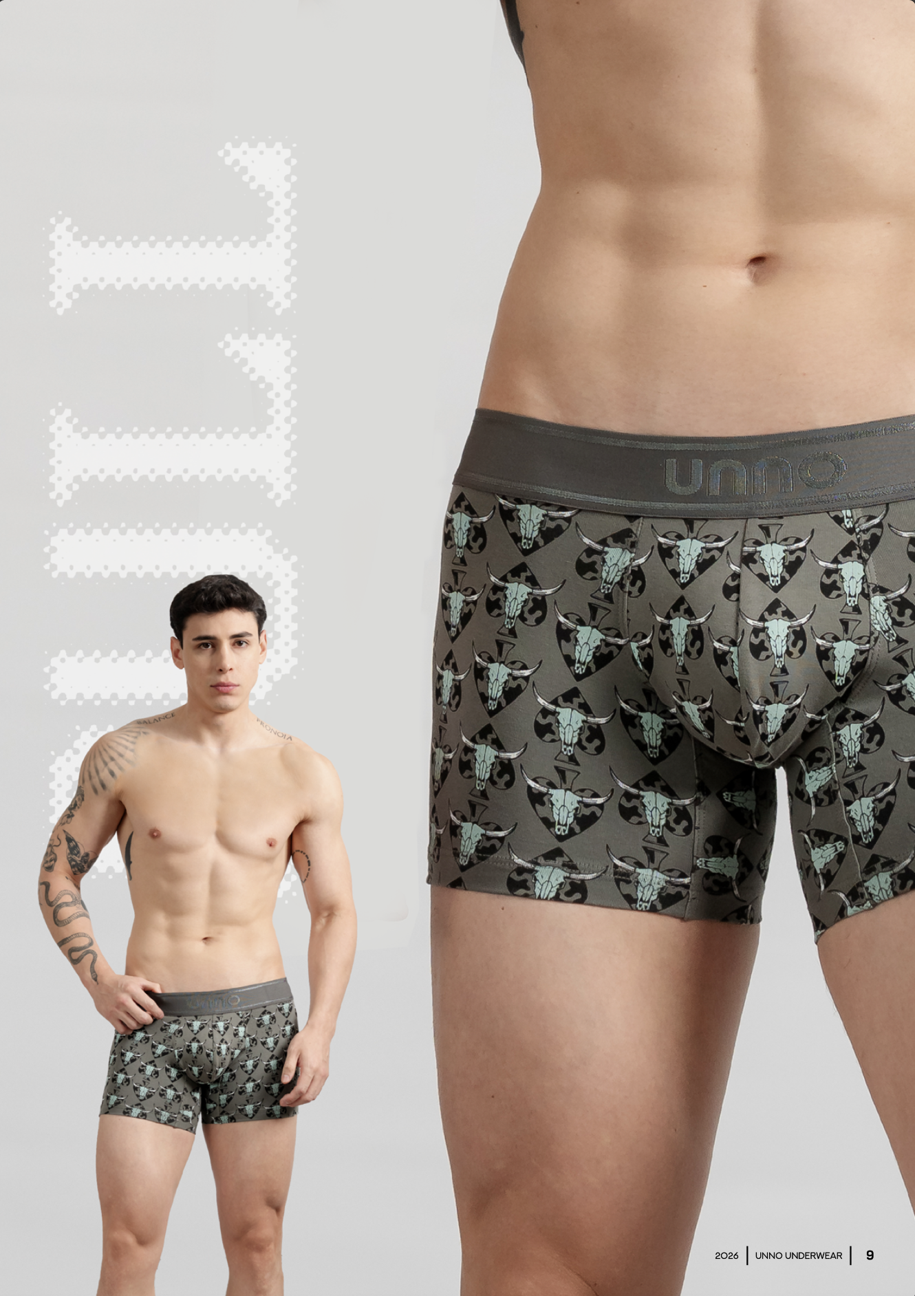 BOXER BULL
